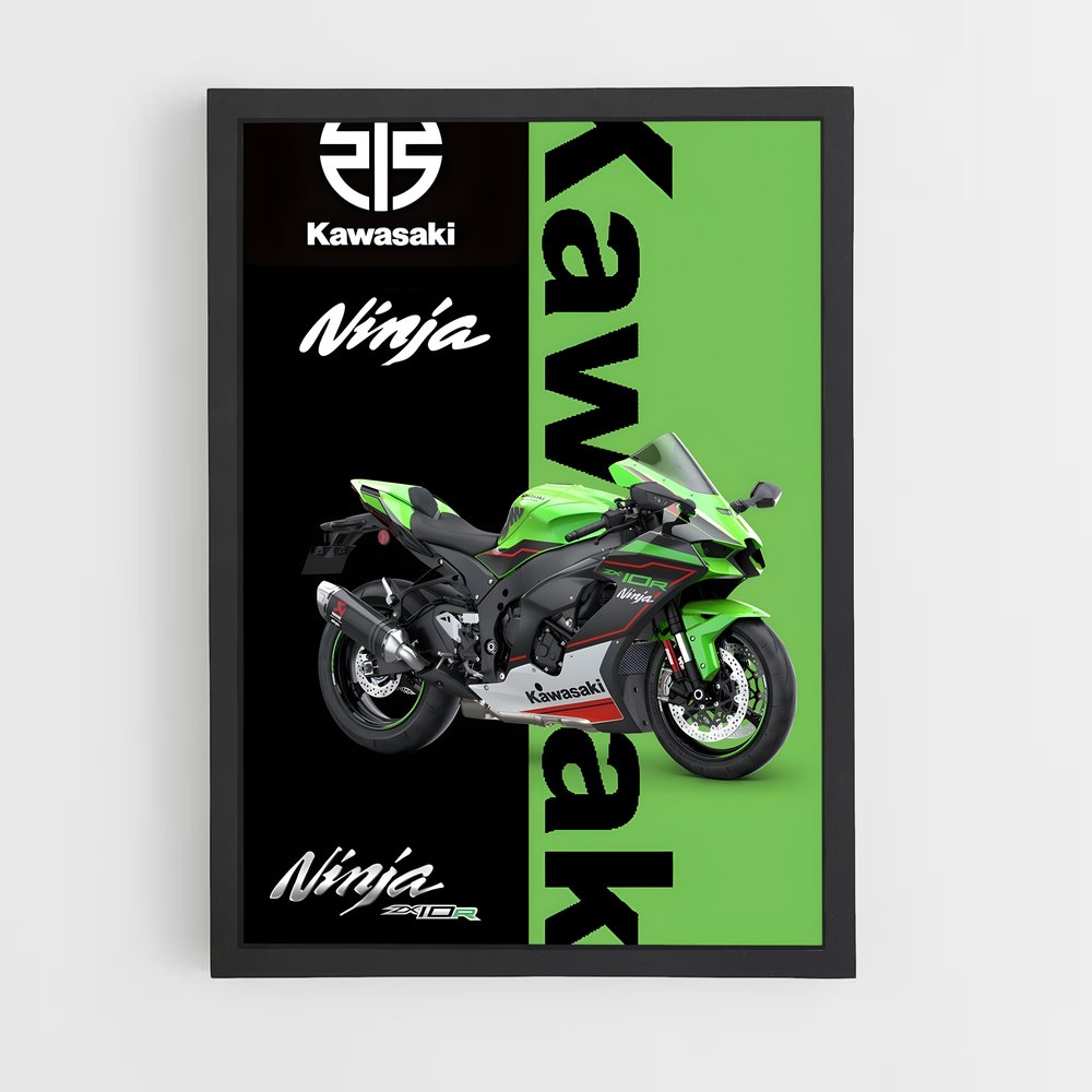 Poster Ninja Vitesse (vue 2)